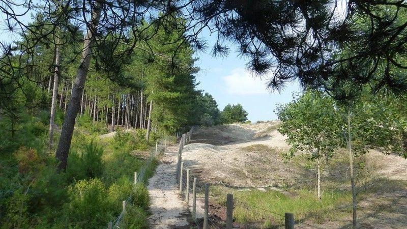 Hamac - Vue Mer - 100M Plage Berck Εξωτερικό φωτογραφία